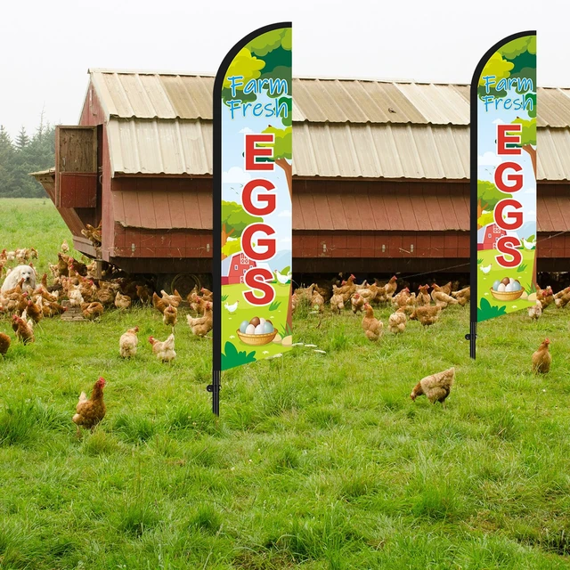 Alt view image 5 of 7 - 2 Sets Farm Fresh Eggs Feather Banner Flag Kit 12ft Advertising Feather Flags with Flag Poles Windless Business Flags Banner Sign for Farm Fresh Eggs Outside Business