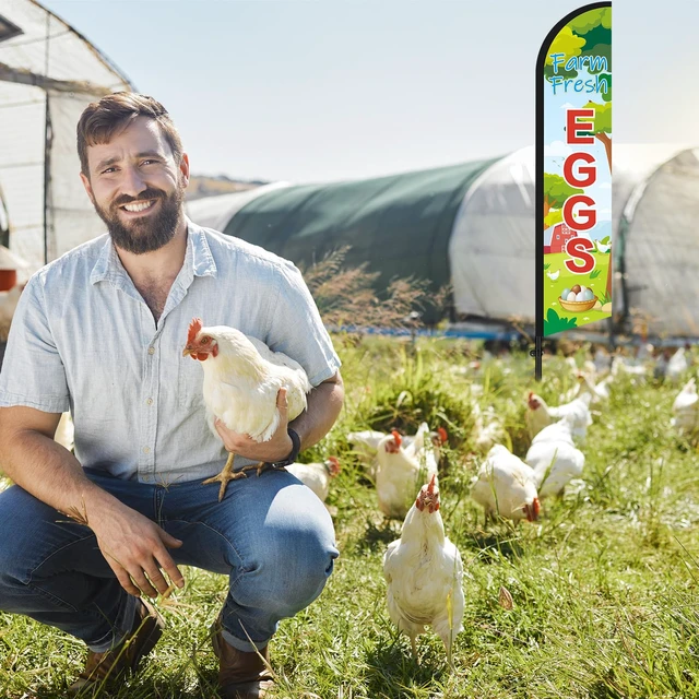 Alt view image 7 of 7 - 2 Sets Farm Fresh Eggs Feather Banner Flag Kit 12ft Advertising Feather Flags with Flag Poles Windless Business Flags Banner Sign for Farm Fresh Eggs Outside Business