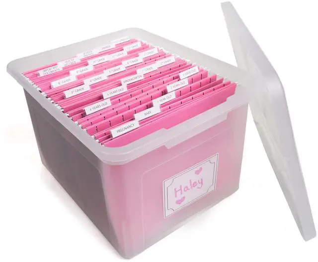 Main image of Kid's Craft Memory Keepsake Organizer Box - Clear Storage Latching Bin with Hanging File Folders and Custom Tab Inserts (Pink)