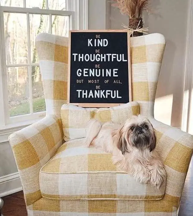 Alt view image 4 of 6 - Black Felt Letter Board 16x20 Inches, Changeable Letter Board Plus 348 White Plastic Letters, Warm Oak Frame Wooden Letter Board w/Sawtooth Wall Hanger + Drawstring Pouch For Letterboard Letters
