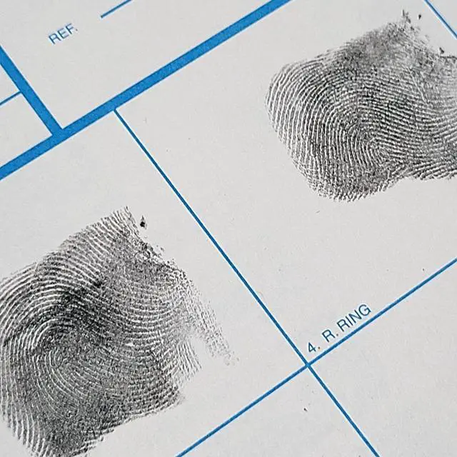 Alt view image 4 of 6 - Fingerprint Cards, Applicant FD-258, 1000 Piece