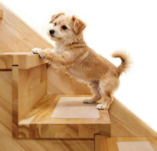 Main image of Stair Treads Non Slip 6" x 30", 15-Pack Pre-Cut Clear Anti Slip Strips for Wooden Steps Indoor, Transparent and Waterproof Grip Tape, Safety for Elderly and Dogs