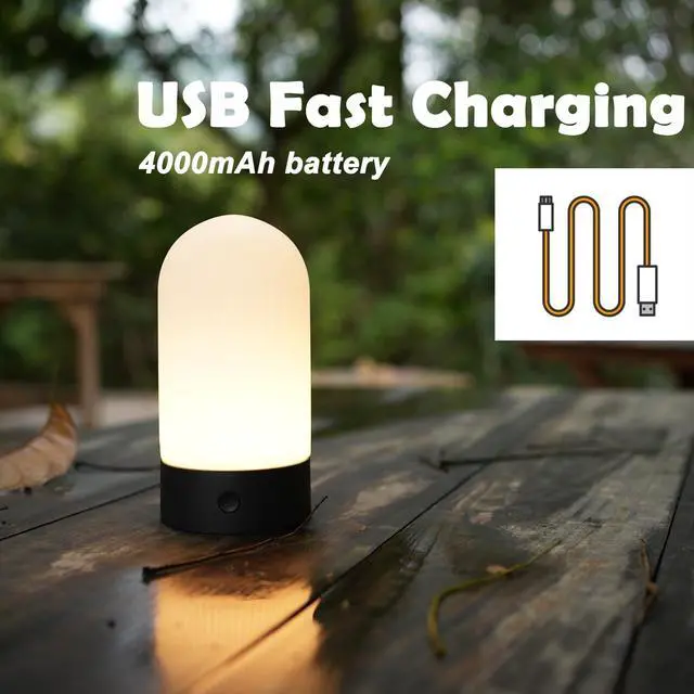 Alt view image 6 of 7 - Battery Operated Shower Lamp Waterproof, Small Portable Cordless Table Lamp Rechargeable, Touch Dimmable Mood Light for Home/Patio/Dining/Outdoor (Wood Grain)