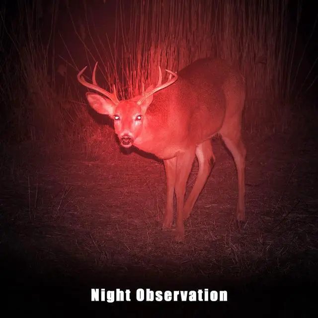 Alt view image 5 of 6 - Red Light Flashlight LED Single Mode Torch 1 Mode Scalable Red Lens Filter Flashlight for Night Astronomy Aviations Observation Beach Safe(4 Pieces)