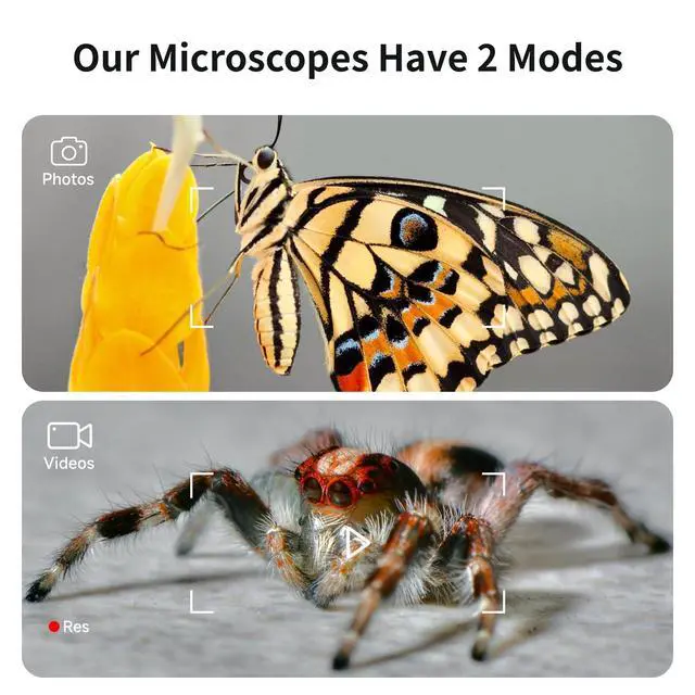 Alt view image 3 of 7 - Microscope for Kids, Kids Microscope with 4.0" IPS Screen, Portable Digital Pocket Microscope for Kids 8-12, Miniscope Kids Compatible with iPhone Android Computer