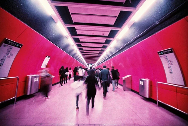 Alt view image 3 of 6 - Lomochrome Purple 35 mm ISO 100-400
