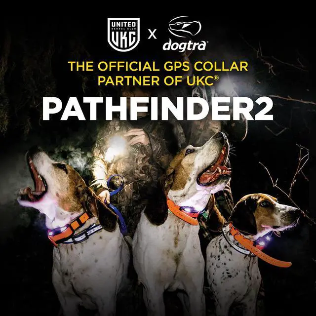 Alt view image 7 of 7 - Pathfinder 2 Mini TRX Additional Receiver Dog GPS Tracker LED Light Blue Collar SmartWatch Compatible Rechargeable Waterproof Free Offline Maps No Monthly Fee Smartphone Required