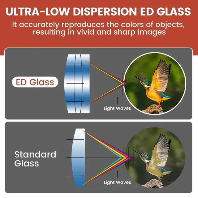 Alt view image 2 of 7 - ED 10x42 Professional Binoculars for Adults High Powered, Fully Multi-Coated Lenses, Super Bright BAK4 Prism Waterproof Compact Binoculars for Bird Watching Hunting Stargazing Hiking Cruise Travel