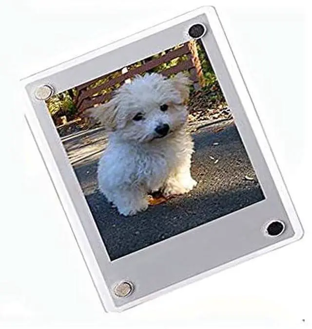 Alt view image 2 of 3 - Instax Mini 12 Instant Camera + Pro Design Protective Case & Magnetic Lucite Frames, 20 Sheets (Blossom Pink)