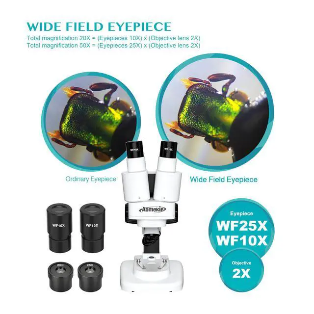 Alt view image 3 of 6 - ® Microscope 20X 50X with 10Pcs Slides Insect Specimen Stereo Microscope with WF eyepieces LED Light Source Portable Stereoscope 12Pcs Mineral specimens
