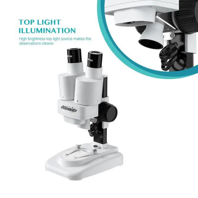 Alt view image 4 of 6 - ® Microscope 20X 50X with 10Pcs Slides Insect Specimen Stereo Microscope with WF eyepieces LED Light Source Portable Stereoscope 12Pcs Mineral specimens