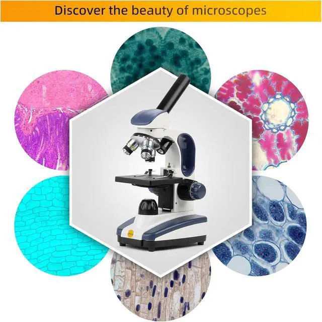 Alt view image 5 of 7 - Compound Monocular Microscope SW200DL with 40X-1000X Magnification, Dual Light, Precision Fine Focus, Wide-Field 25X Eyepiece and Cordless Capability for Student Beginner