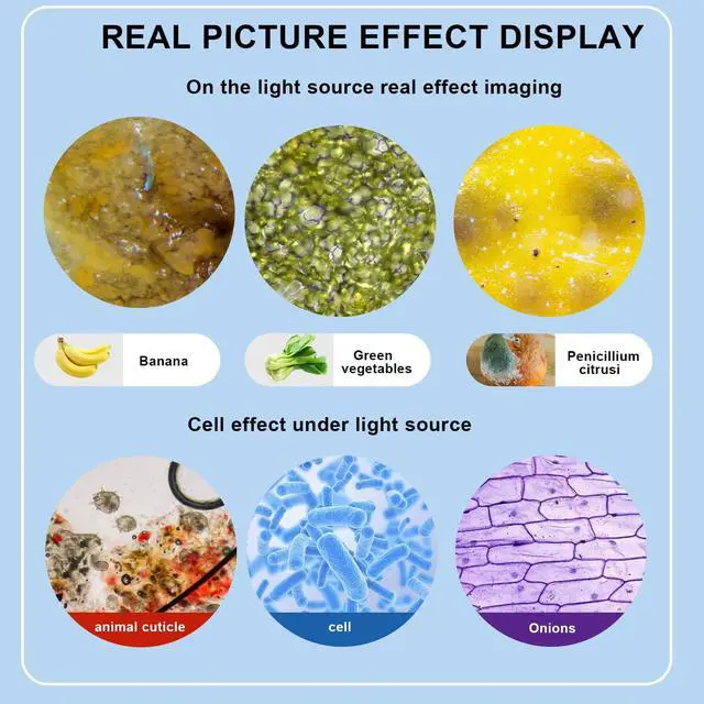 Alt view image 3 of 7 - Compound MicroscopeWF10x and WF25x Eyepieces, Slides for Students, Home School Lab Microscope for Adults Suitable for Laboratory School (Bright White)