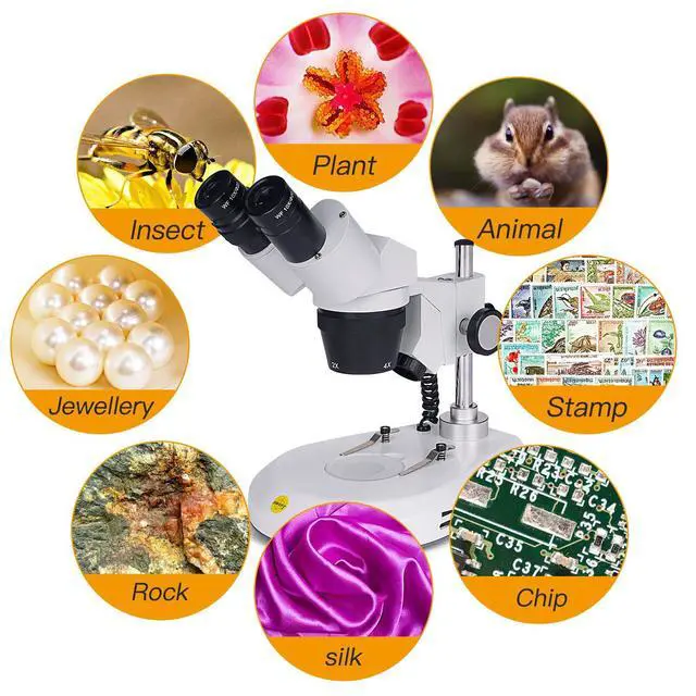 Alt view image 5 of 6 - S306S-20-2L Binocular Stereo Microscope, 20X/40X/80X Magnification, 360° Rotatable Forward-Mounted Head, Wide-Field 10X/20X Eyepieces, Upper & Lower LED Lights, Reversible Stage Plate
