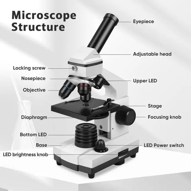 Alt view image 5 of 6 - Microscope for Adults Professional:Compound Microscope for Kids 8-12,100X-2000X Kids Microscope Kit with Prepared Microscope Slides and Covers,Plant Stereo Microscopes for Kids Homeschool Lab