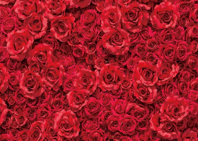 Alt view image 2 of 6 - Spring Flower Backdrop Red Rose Floral Wedding Photograph Background Roses Wall Lovers Girls Party Decoration Photo Studio Booth Props 8x6FT