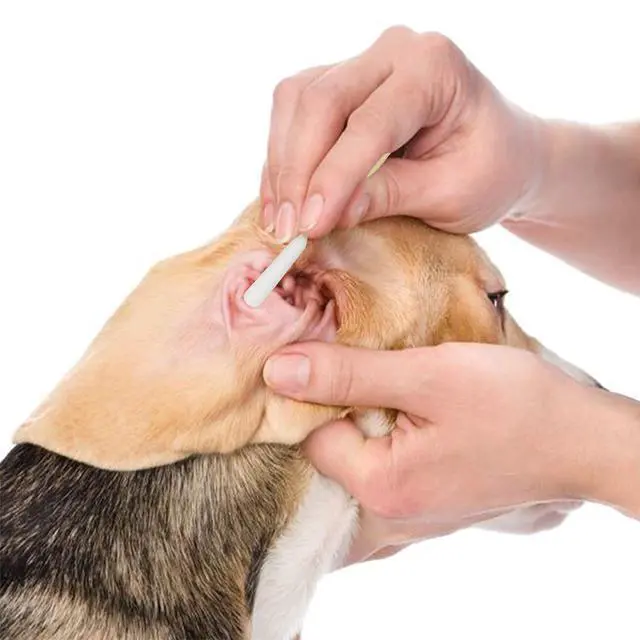 Alt view image 5 of 6 - 6 Inch Long Cotton Swabs of Medium&Large Pets Ears Cleaning,Makeup 400pcs