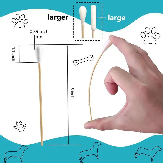 Alt view image 2 of 6 - 150pcs Large Cotton Swabs,6 Inch Long Large Cotton Buds with Bamboo Handle for Dogs, Specifically Designed for Dogs,Professional Big Cotton SwabsDogs Ears Large Cotton Swabs