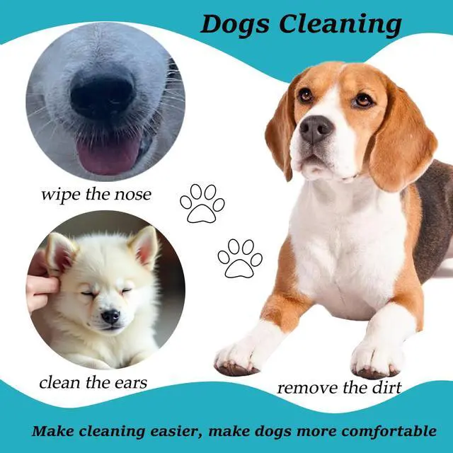 Alt view image 3 of 6 - 150pcs Large Cotton Swabs,6 Inch Long Large Cotton Buds with Bamboo Handle for Dogs, Specifically Designed for Dogs,Professional Big Cotton SwabsDogs Ears Large Cotton Swabs