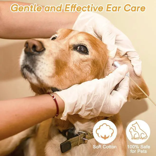 Alt view image 2 of 7 - 100 Extra Large Dog Ear Swabs, 6-Inch Bamboo Handle for Grooming Care