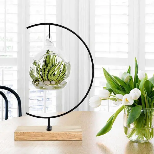 Alt view image 2 of 6 - Ornament Display Stand - Iron Pothook Stand for Hanging Glass Globe, Air Plant Terrarium, Witch Ball, Christmas Ornament and Home Wedding Decoration