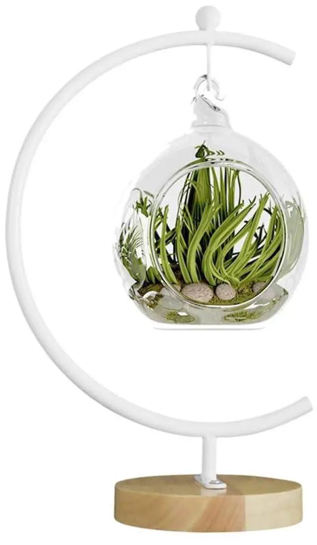 Main image of Big Ornament Display Stand, Iron Pothook Stand for Hanging Glass Globe, Air Plant Terrarium, Witch Ball, Christmas Ornament and Home Wedding Decoration
