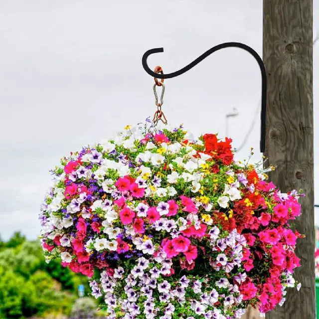 Alt view image 6 of 7 - Cast Iron Plant Hooks for Hanging Baskets Indoor, Heavy Duty Plant Hangers Outdoor, Rustic Planter Hook Hanging Lanterns Bird Feeders, 4 Inch (4 Pack)