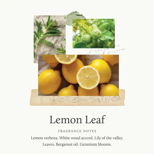Alt view image 3 of 7 - Hand Wash - Moisturizing Hand Soap Dispenser with Pump - Skin Care - Hydrating Liquid Soap Scented with Notes of Dewy Leaves, Lily of the Valley, Lemon Verbena, & Bergamot (Lemon Leaf, 9 fl oz)