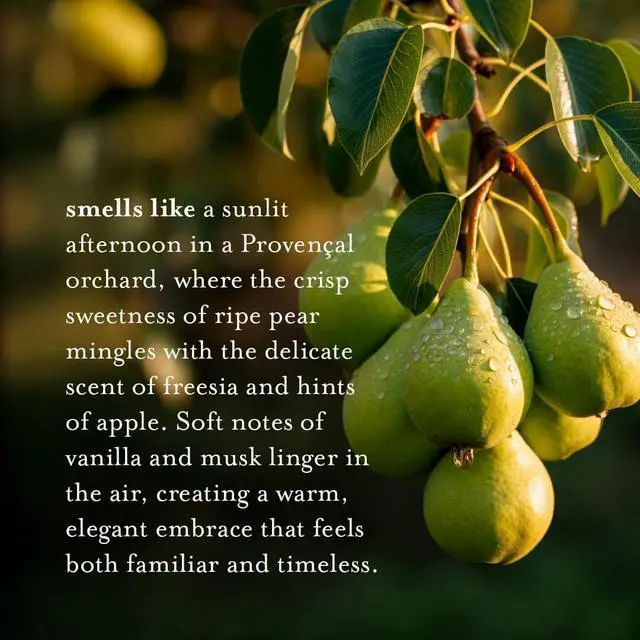 Alt view image 5 of 5 - French Pear Natural Hand Wash Made with Essential Oils - Biodegradable, Plant-Based, Vegan, Cruelty-Free 16.9 Fl Oz (Pack of 1)