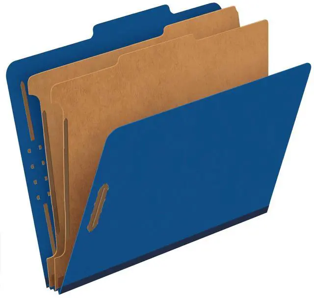 Main image of Classification File Folders,1 Divider, Durable File Organizer for Home, School or Office, Letter-Size Folders for Files, Paper Organizer, Durable Prongs, (B006NVMJCC)