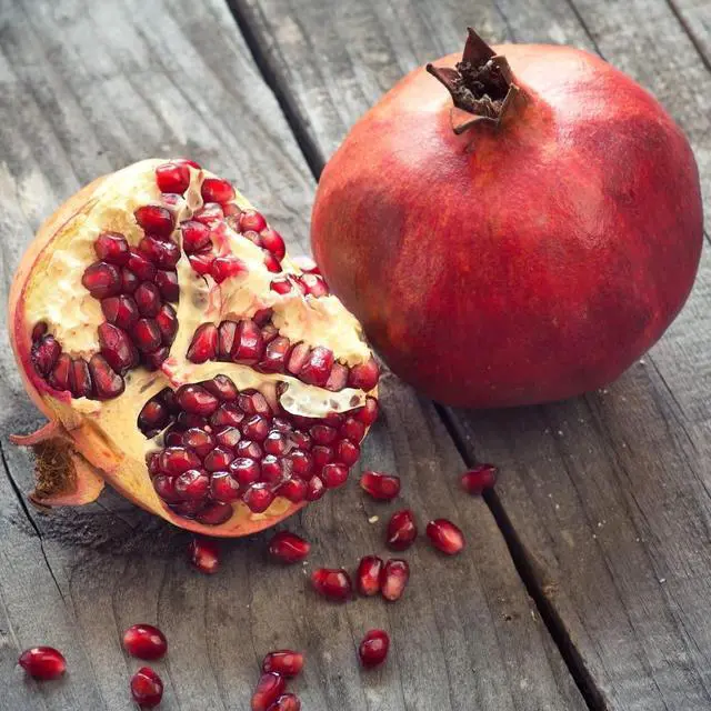 Alt view image 4 of 5 - Replenishing Pomegranate Body Wash, 6.8 Fluid Ounce, Gentle Plant Rich Cleanser with Pomegranate, Sesame, Sunflower and Macadamia Oils