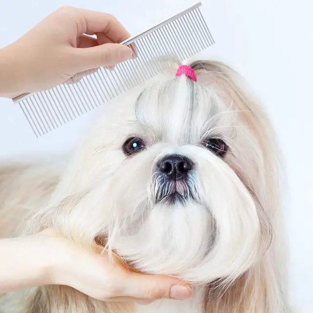 Alt view image 6 of 7 - Pets Grooming Comb Kit for Small Dogs Puppies For Tear Stain Remover, 2-in-1 with Round Teeth to Remove Knots Crust Mucus