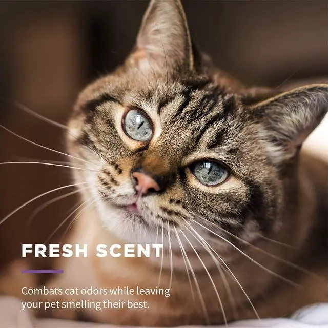 Alt view image 5 of 7 - for Pets Freshening Multipurpose Cat Wipes, Fresh Scent, 100 Count | Aloe vera formula, moisture-lock seal keeps cloths clean, suitable for daily grooming between baths
