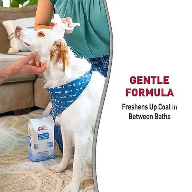 Alt view image 4 of 7 - Deodorizing Bath Wipes for Dogs, 100 Count | Neutralize Tough Pet Odors Between Baths, Promotes Healthy Skin & Coat, Great For Spot & Paw Cleaning, Sunkissed Breeze Scent