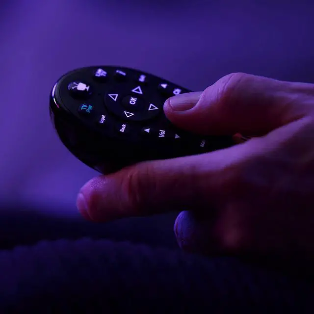 Alt view image 2 of 5 - LUX Remote| Edge and Bolt, Video Streaming, Voice Command, See in The Dark Display, C00305
