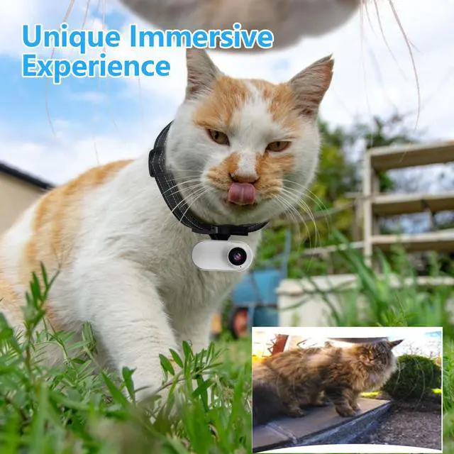 Alt view image 2 of 7 - HD 1080P Cat Camera Collar with Video Record Wireless Mini Sport cam,Small Action Cameras,Body Camera for Pet Supplies/Stuff,Outdoor/Inoor Birthday Gift No WiFi