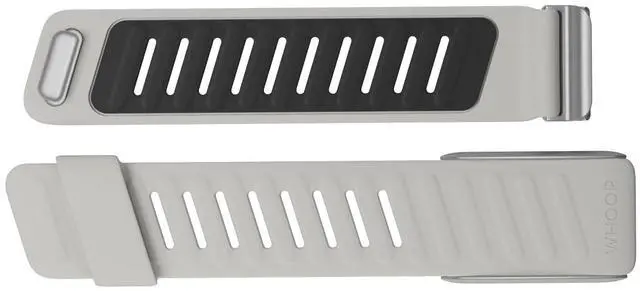 Main image of SportFlex Wrist Band, Soft-Touch Silicone, Waterproof and Sweatproof, 4.0 Compatible