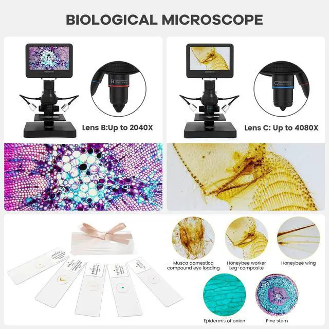 Alt view image 6 of 7 - AD246S-P HDMI Digital Microscope with 7'' Screen, 4000x 3 Lens | 2160P UHD Video Record, Coin Microscope for Error Coins, Biological Microscope Kit for Adults and Kids, Prepred Slides