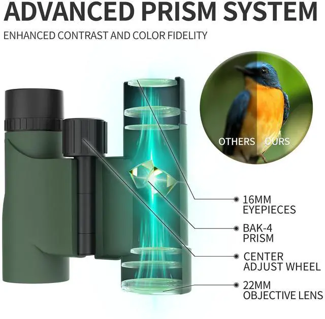 Alt view image 2 of 7 - 10x22 Compact Binoculars for Adults and Kids, Lightweight Pocket Binocular with 10mm Large Eyepiece & BAK4 Prism, Low Light Vision for Bird Watching, Travel, Hunting