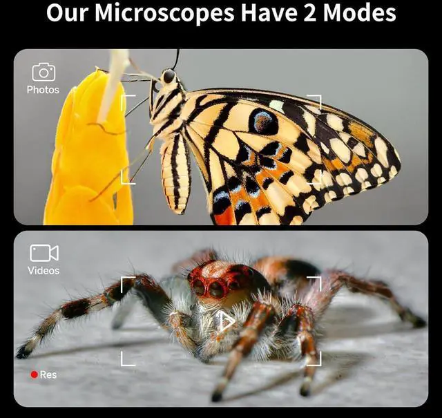 Alt view image 4 of 7 - 4'' IPS Handheld Pocket Digital Microscope with 100-1600X Screen, 1080P HD Portable Microscope with 8 Adjustable LED Lights