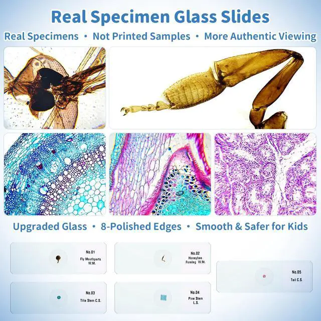 Alt view image 4 of 7 - Kids Handheld Digital Microscope 1000X: Science Gift Kit STEM Toy Ages 5-13 | 8GB SD Card for Photo/video, Rechargeable, 2.4" Screen, 8 LEDs, Portable Magnifying Glass Pocket Miniscope for Girls Boys