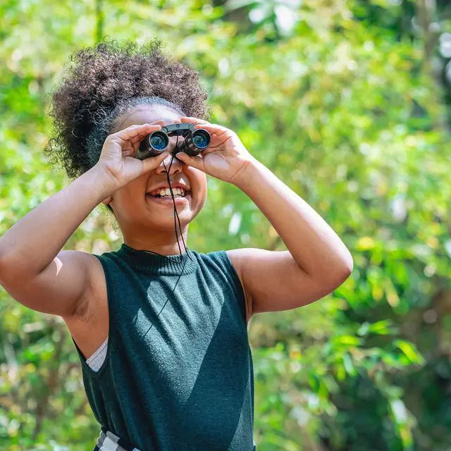 Alt view image 2 of 6 - Lucid View 10x25 Compact Binoculars Lightweight Folding Design with Fully Coated Optics & Rubber Armor Ideal for Travel, Hiking, Hunting & Sports