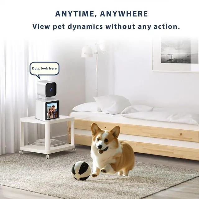 Alt view image 6 of 6 - Two-Way Video Camera,Pet Dog Camera 1080P Dome Camera CS10 | Security Camera Indoor,Monitor for Elderly/Baby/Nanny/Pet/Dog with app, Pan/Tilt WiFi Cameras, Night Vision