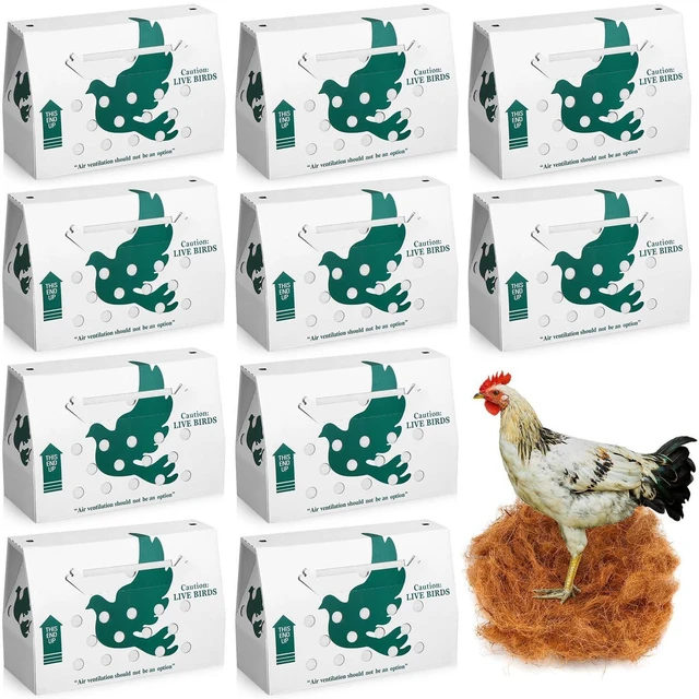 Alt view image 7 of 12 - 10 Pack Live Chicken Shipping Boxes 17.5x7.75x12 Inch Live Bird Shipping Boxes with Coconut Fiber Padding Corrugated Cardboard Pet Carrier for Poultry Pigeons Canaries (Green)
