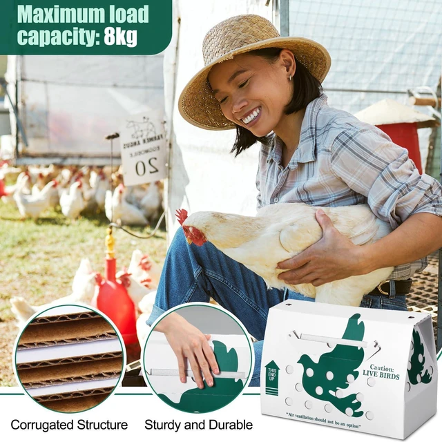 Alt view image 10 of 12 - 10 Pack Live Chicken Shipping Boxes 17.5x7.75x12 Inch Live Bird Shipping Boxes with Coconut Fiber Padding Corrugated Cardboard Pet Carrier for Poultry Pigeons Canaries (Green)