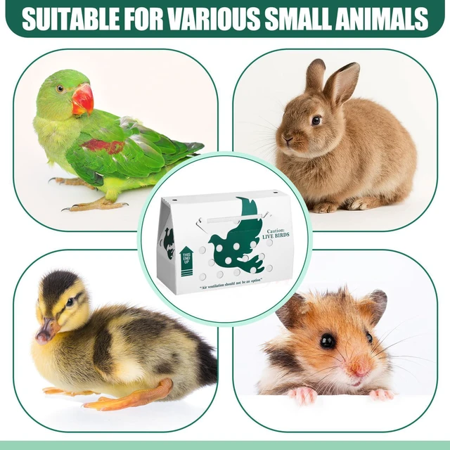 Alt view image 12 of 12 - 10 Pack Live Chicken Shipping Boxes 17.5x7.75x12 Inch Live Bird Shipping Boxes with Coconut Fiber Padding Corrugated Cardboard Pet Carrier for Poultry Pigeons Canaries (Green)