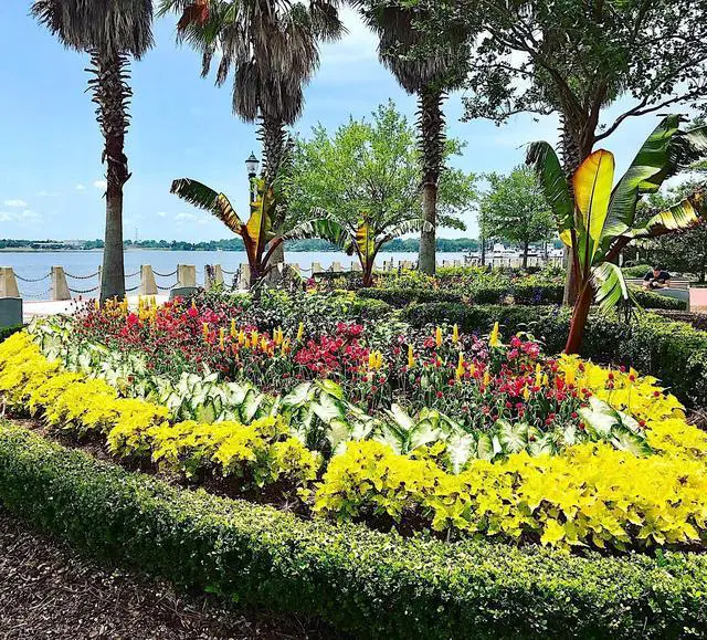 Alt view image 8 of 10 - Nelson - Trees, Shrubs, & Evergreens Plant Food for In-Ground, Containers, & Patios, Granular Fertilizer, NutriStar 21-6-8 (15 lb.)