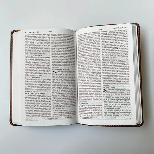 Alt view image 14 of 14 - Personalized ESV Bible, Brown with a Lion on the Cover, Option to Customize with Hand Lettered Name on Cover