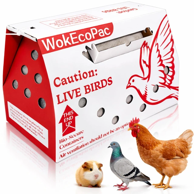 Alt view image 8 of 14 - 6 Pack Live Bird Shipping Boxes for Poultry Chicken Bird Duck (Red) | Size 17.7" x 7.8" x 11.8"-Poultry Shipping Boxes, Poultry Carrier Crate has Ventilation Openings, Portable Bird Travel Bag