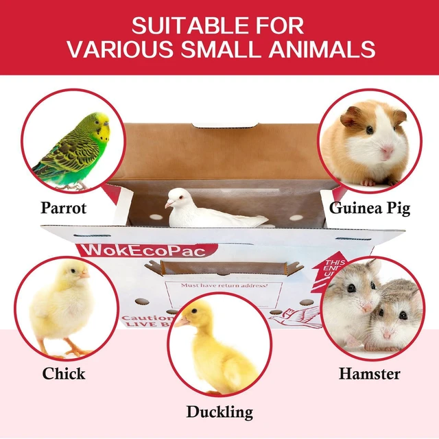 Alt view image 13 of 14 - 6 Pack Live Bird Shipping Boxes for Poultry Chicken Bird Duck (Red) | Size 17.7" x 7.8" x 11.8"-Poultry Shipping Boxes, Poultry Carrier Crate has Ventilation Openings, Portable Bird Travel Bag